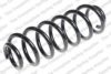 LESJ?FORS 4295101 Coil Spring